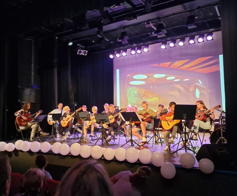 Groepsles gitaar Dalfsen
